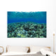 Reflections A91A Wall Mural