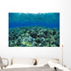 Reflections A91A Wall Mural
