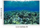 Reflections A91A Wall Mural