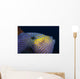 Hawaii, Head And Eye Of Black Durgon Close-Up Detail A83F Wall Mural