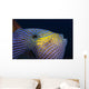Hawaii, Head And Eye Of Black Durgon Close-Up Detail A83F Wall Mural