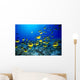 Hawaii, Schooling Raccoon Butterflyfish Blue Ocean A82C Wall Mural