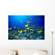 Hawaii, Schooling Raccoon Butterflyfish Blue Ocean A82C Wall Mural