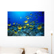 Hawaii, Schooling Raccoon Butterflyfish Blue Ocean A82C Wall Mural