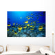 Hawaii, Schooling Raccoon Butterflyfish Blue Ocean A82C Wall Mural