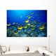 Hawaii, Schooling Raccoon Butterflyfish Blue Ocean A82C Wall Mural