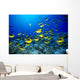 Hawaii, Schooling Raccoon Butterflyfish Blue Ocean A82C Wall Mural