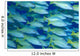 Hawaii, School Of Blue Stripe Snapper Side View A84H Wall Mural
