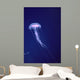 Hawaii, Jellyfish With Long Tentacles In Blue Sparkling Ocean A88E Wall Mural
