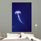 Hawaii, Jellyfish With Long Tentacles In Blue Sparkling Ocean A88E Wall Mural
