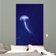 Hawaii, Jellyfish With Long Tentacles In Blue Sparkling Ocean A88E Wall Mural