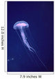 Hawaii, Jellyfish With Long Tentacles In Blue Sparkling Ocean A88E Wall Mural