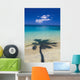 Shadow Of Palm Tree Onto Calm Beach Reef In Distance Wall Mural