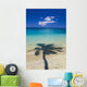 Shadow Of Palm Tree Onto Calm Beach Reef In Distance Wall Mural