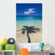 Shadow Of Palm Tree Onto Calm Beach Reef In Distance Wall Mural