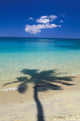 Shadow Of Palm Tree Onto Calm Beach Reef In Distance Wall Mural