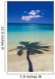 Shadow Of Palm Tree Onto Calm Beach Reef In Distance Wall Mural