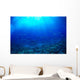 Hawaii, Mackerel Scad, Opelu School In Blue Ocean A84B Wall Mural