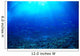 Hawaii, Mackerel Scad, Opelu School In Blue Ocean A84B Wall Mural
