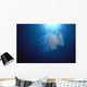 Midwater In Blue Ocean Backlit By Sunburst A88C Wall Mural