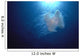 Midwater In Blue Ocean Backlit By Sunburst A88C Wall Mural