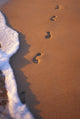 Close-Up Of Footprints Wall Mural