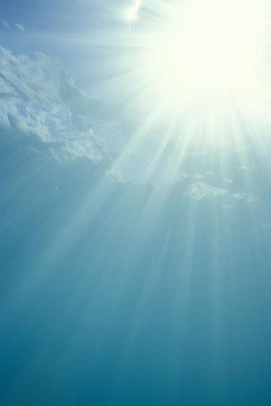 Brilliant Sunburst Through Water Surface Wall Mural
