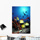 Backlit Fish By Sunburst A83E Wall Mural