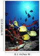 Backlit Fish By Sunburst A83E Wall Mural