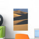 California, Death Valley National Forest, Mesquite Flat Sand Dunes Wall Mural