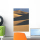 California, Death Valley National Forest, Mesquite Flat Sand Dunes Wall Mural