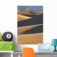 California, Death Valley National Forest, Mesquite Flat Sand Dunes Wall Mural