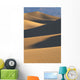California, Death Valley National Forest, Mesquite Flat Sand Dunes Wall Mural