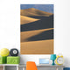 California, Death Valley National Forest, Mesquite Flat Sand Dunes Wall Mural