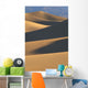 California, Death Valley National Forest, Mesquite Flat Sand Dunes Wall Mural