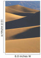 California, Death Valley National Forest, Mesquite Flat Sand Dunes Wall Mural