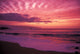 Pink Yellow And Orange Skies Wall Mural
