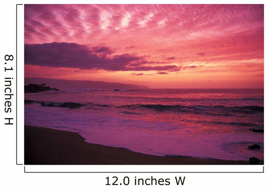 Pink Yellow And Orange Skies Wall Mural