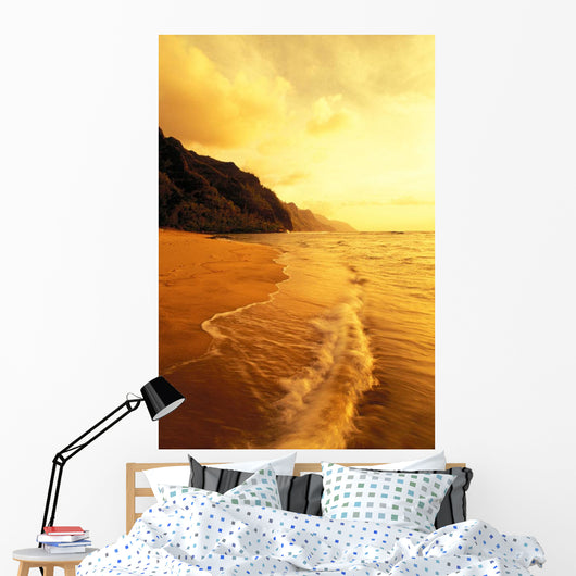With Foamy Surf And Cliff In Background Wall Mural