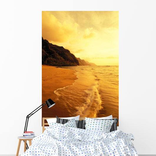 With Foamy Surf And Cliff In Background Wall Mural
