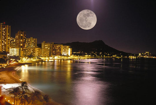 City Lights Wall Mural