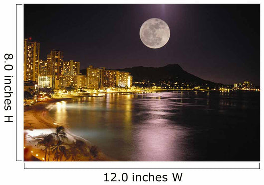 City Lights Wall Mural