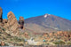 El Teide Wall Decal