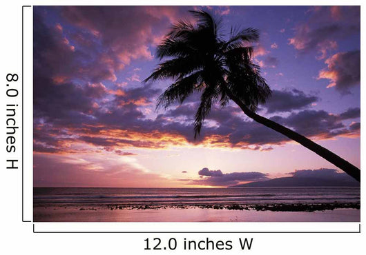 Purple Sunset With Lanai In Distance And Palm Silhouette Wall Mural