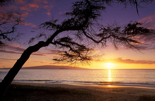 Hawaii, Maui, Palauea Beach Sunset With Hawaiian Island In Background Wall Mural