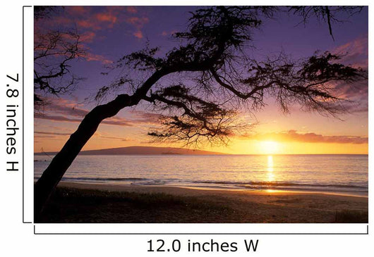 Hawaii, Maui, Palauea Beach Sunset With Hawaiian Island In Background Wall Mural