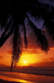 Hawaii, View Of Sunset From The Beach Wall Mural