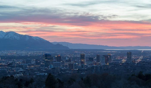 Salt Lake City Utah City Scape Skyline Wall Decal