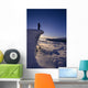 Nordic Skier Stands On Cliff At Sunset B1661 Wall Mural