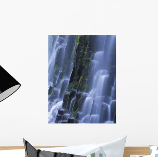 Lower Proxy Falls B1598 Wall Mural